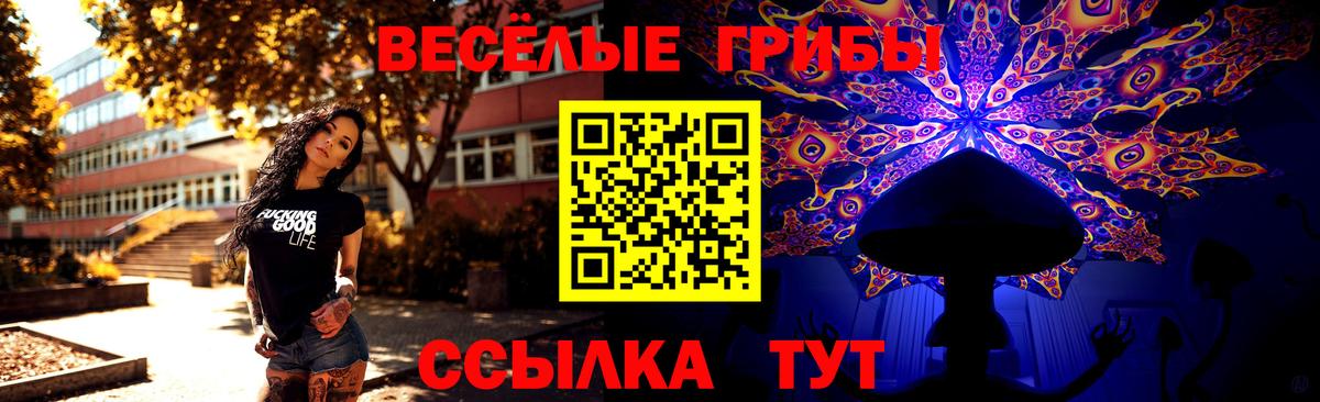Ишимбай  Псилоцибиновые грибы Psilocybe  Вход с VPN 